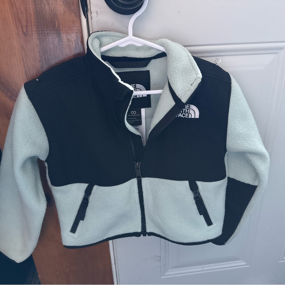 The North Face Kids Denali Jacket